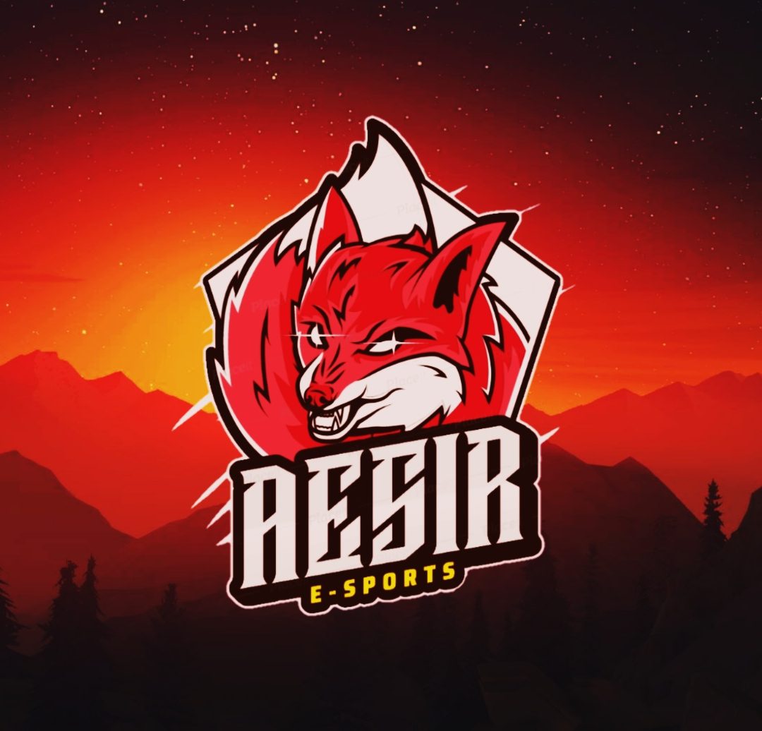 Aesir E-sports So2